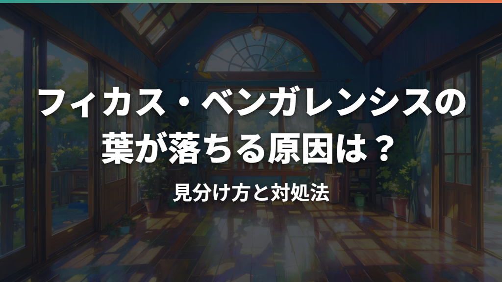 フィカス・ベンガレンシスの葉が落ちる原因は？見分け方と対処法