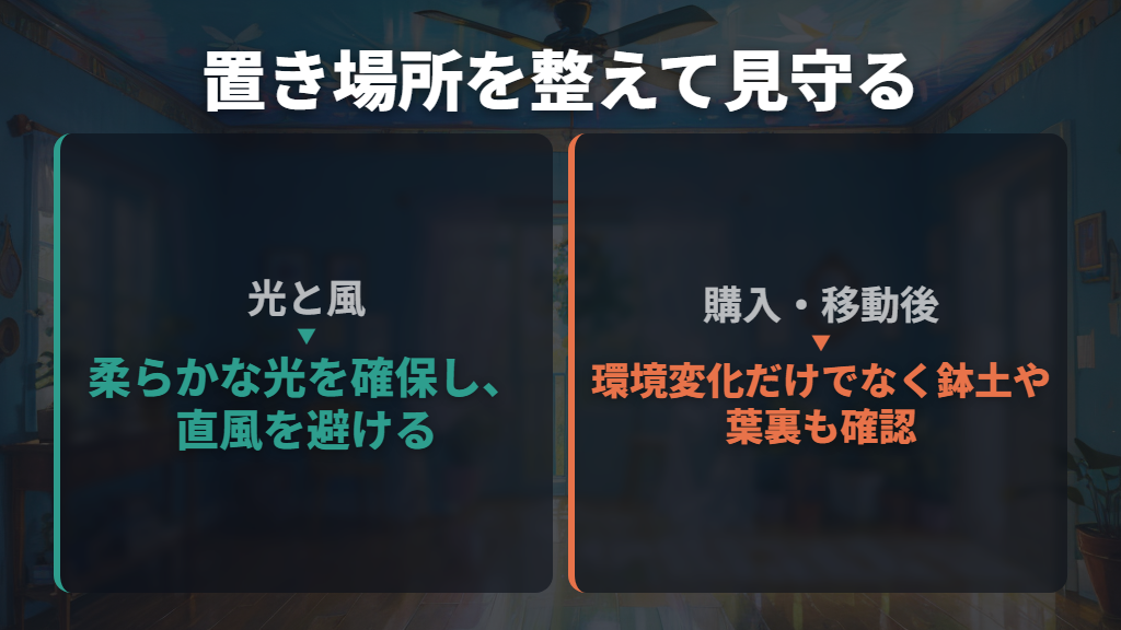置き場所を整え、購入後や移動後の変化を見守る