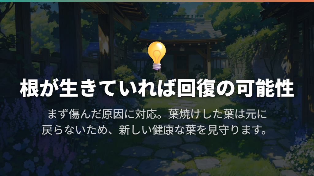 葉が減っても回復の可能性はある？新芽と株の状態を見る