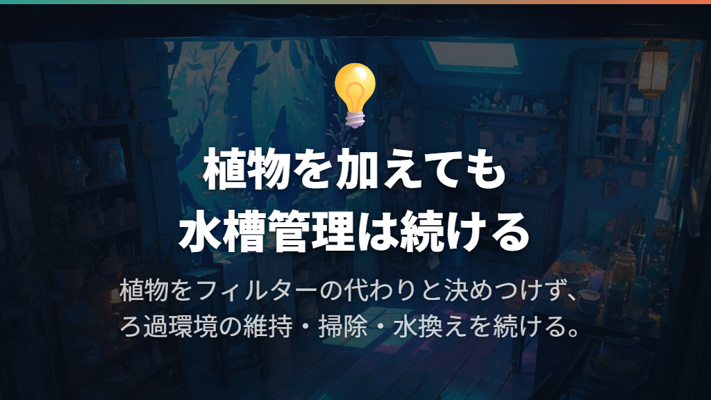フィルターや水換えを続ける理由