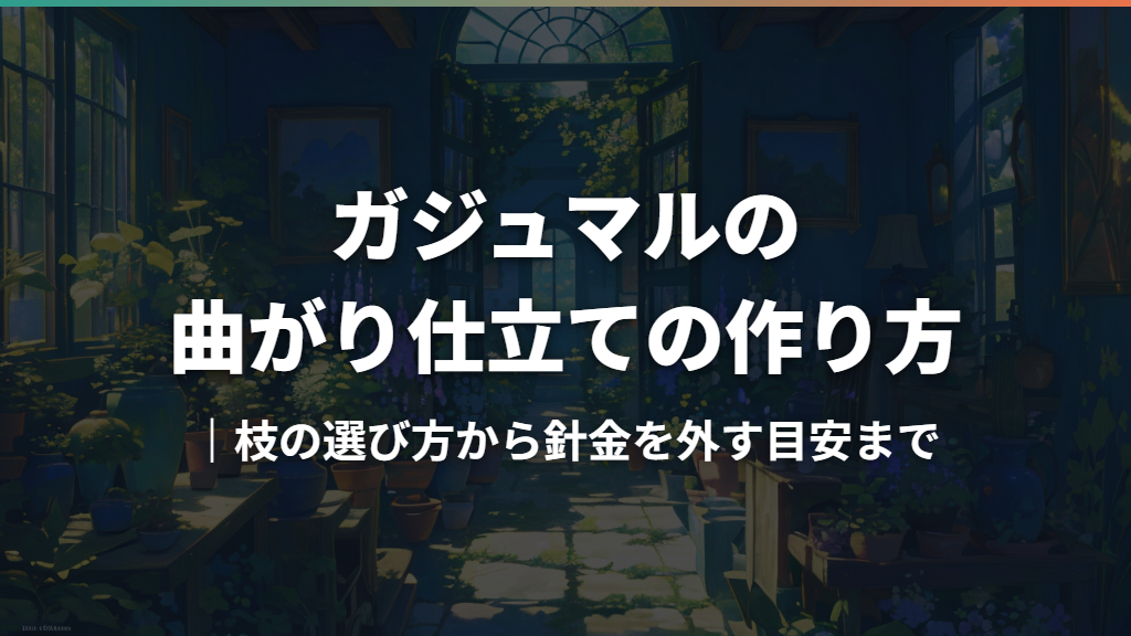 ガジュマルの曲がり仕立ての作り方｜枝の選び方から針金を外す目安まで