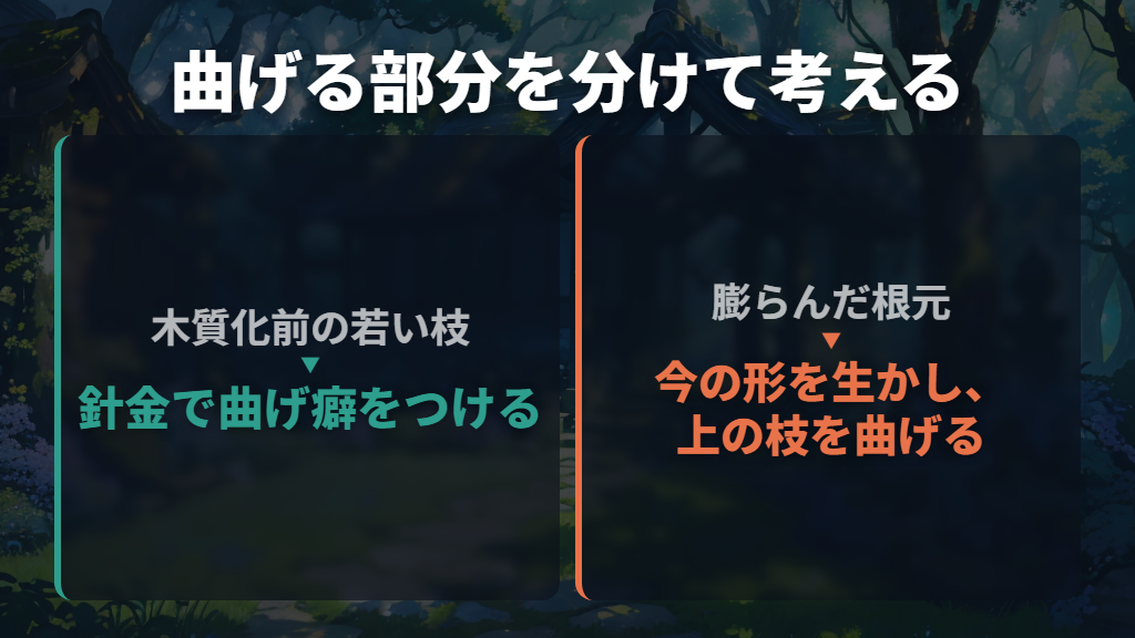 曲げるのは若い枝|太い根元とは分けて考える
