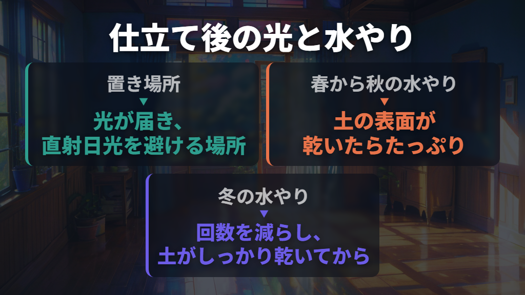 仕立て後は明るい日陰へ|水やりは土と季節に合わせる