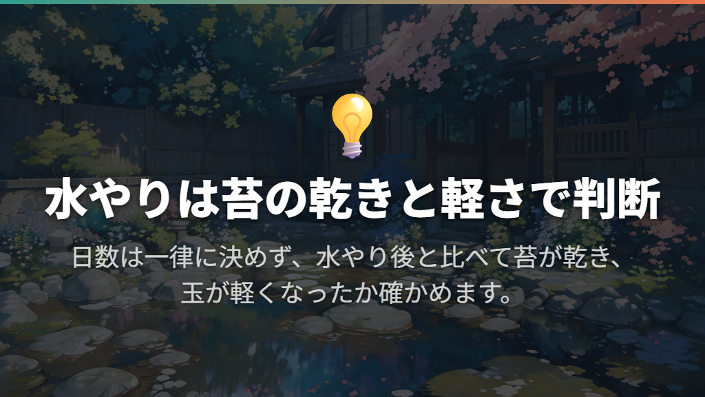水やりは何日に1回？乾きと重さで判断する