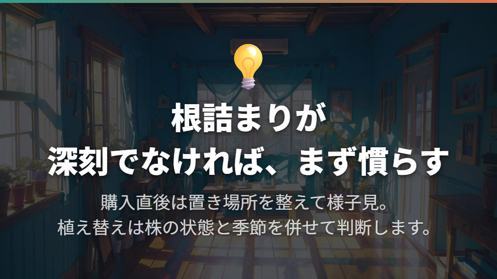元気な株はまず環境に慣らす|何日待てばいい?
