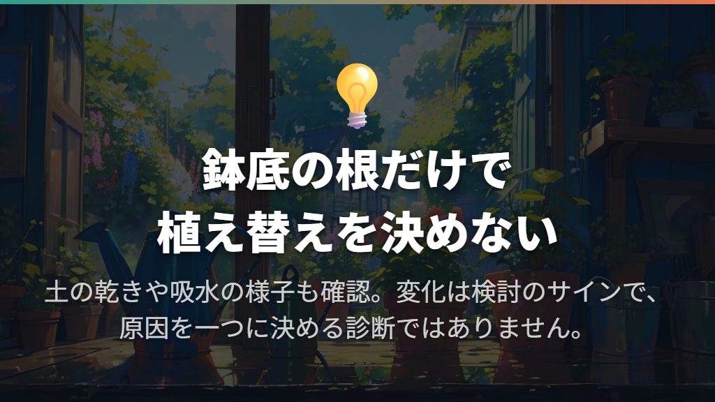 鉢底から根が出たら植え替え?水と土の変化も見る