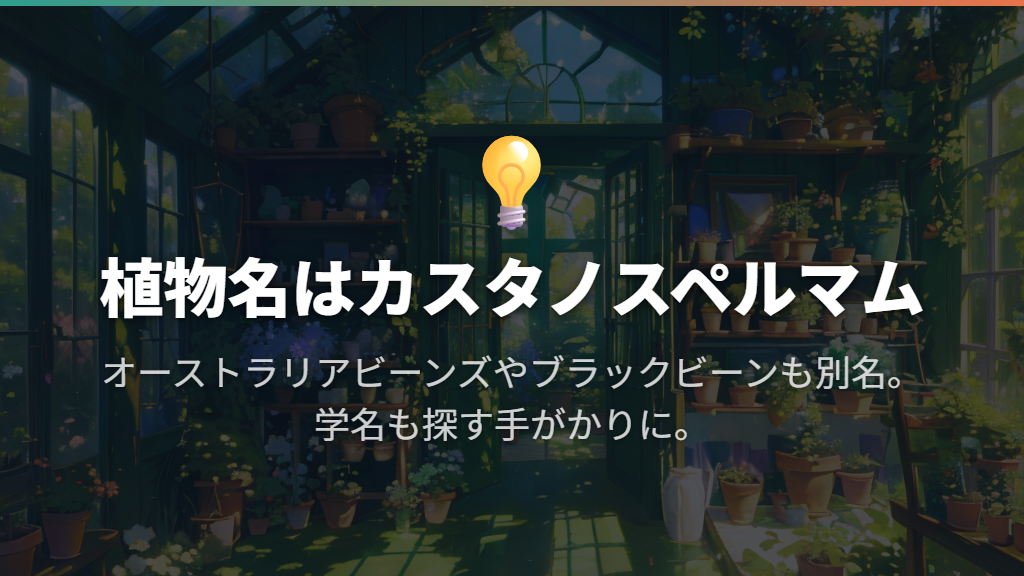 正体はカスタノスペルマム。別名でも探せる植物