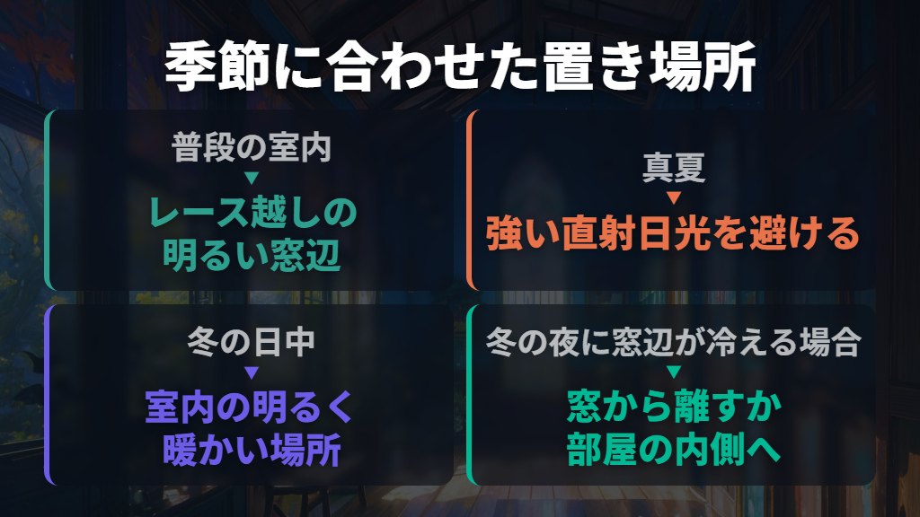 置き場所は明るい室内。真夏の光と冬の冷え込みに注意
