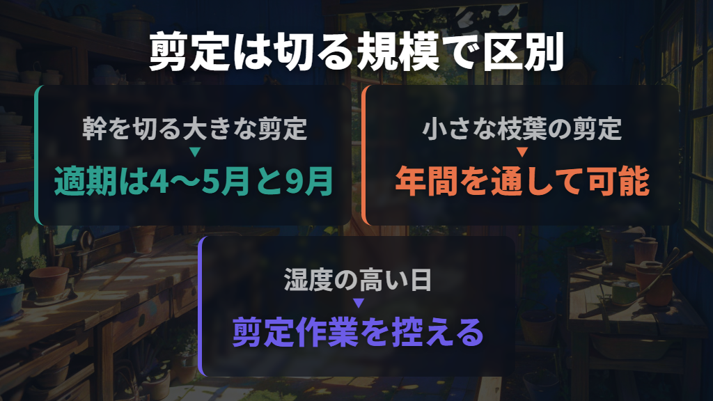 伸びすぎたら剪定。大きく切る作業は時期を選ぶ