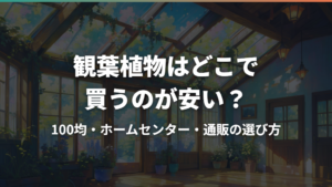 観葉植物はどこで買うのが安い?100均・ホームセンター・通販の選び方