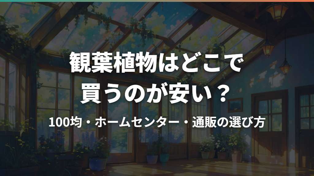 観葉植物はどこで買うのが安い？100均・ホームセンター・通販の選び方