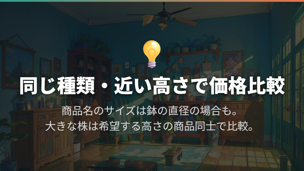 大きい観葉植物は同じ種類・近い高さで価格を比べる