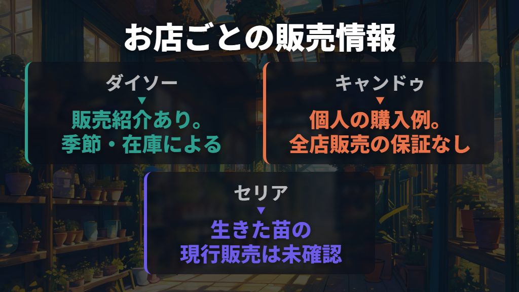 まずダイソーが候補。キャンドゥとセリアはどう考える?