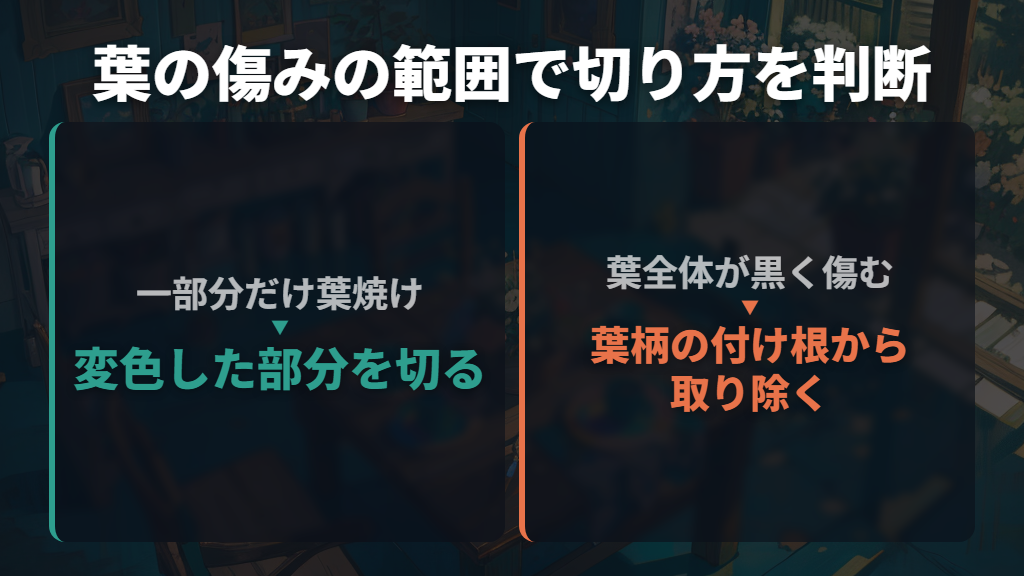 葉焼けした葉は切る?傷んだ範囲で判断する