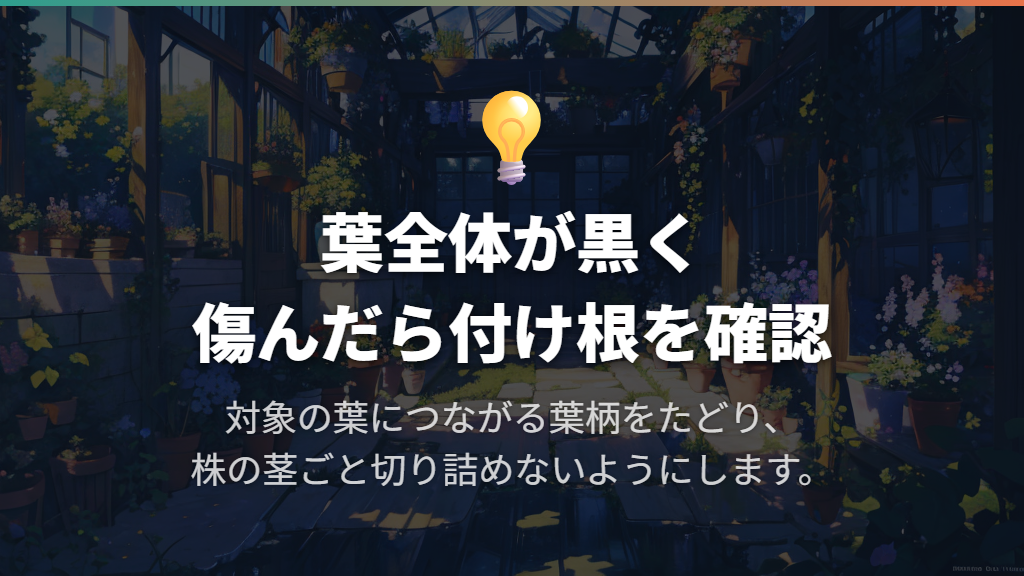 葉全体を切るなら葉柄の付け根を確認する