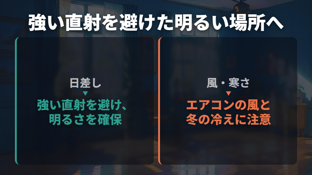 直射日光を避け、明るさは確保する