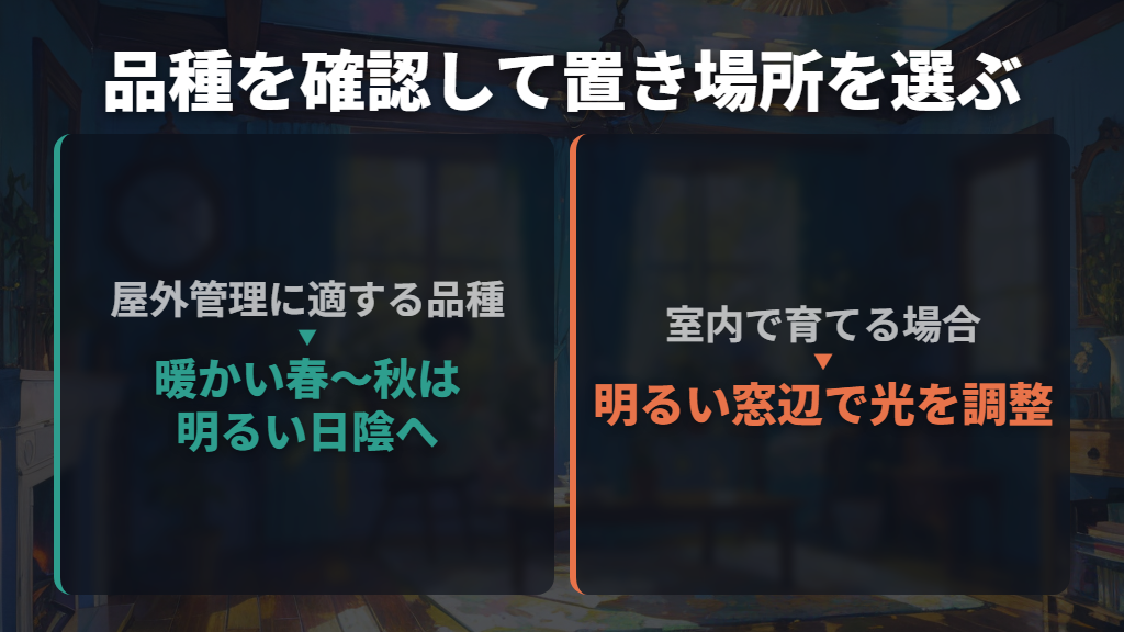暖かい時期は屋外で育てられる?室内のままでも大丈夫?