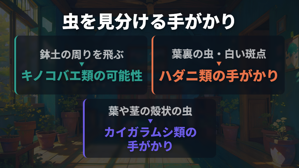 土・葉裏・茎のどこに虫がいるかを確かめる