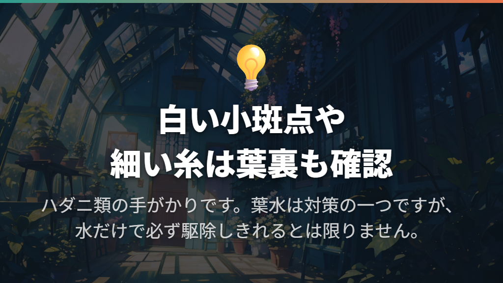 葉の白いかすれや細い糸はハダニを疑う