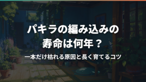 パキラの編み込みの寿命は何年？一本だけ枯れる原因と長く育てるコツ