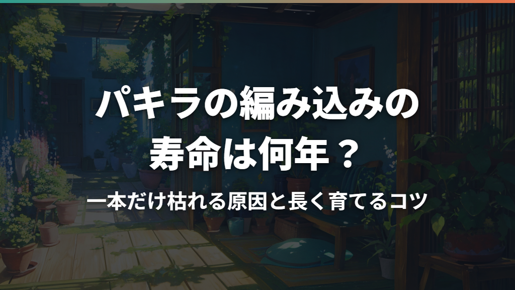 パキラの編み込みの寿命は何年？一本だけ枯れる原因と長く育てるコツ