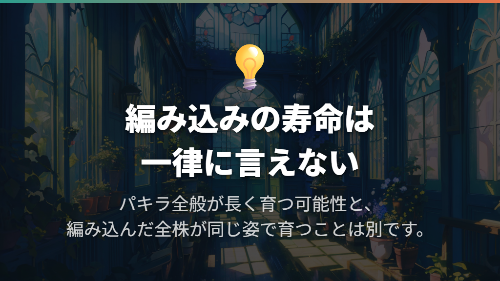 寿命は何年?「数十年」は編み込み専用の目安ではない