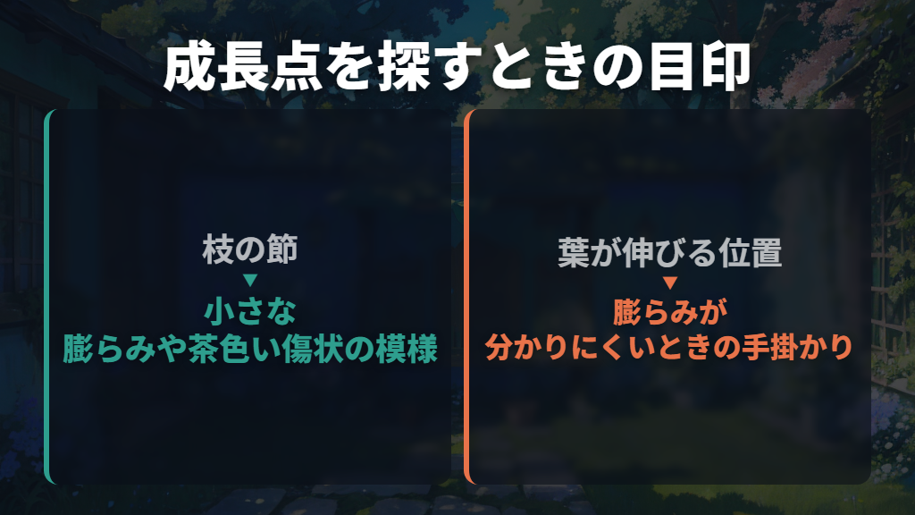 成長点が見つからないときは枝の節を目印にする