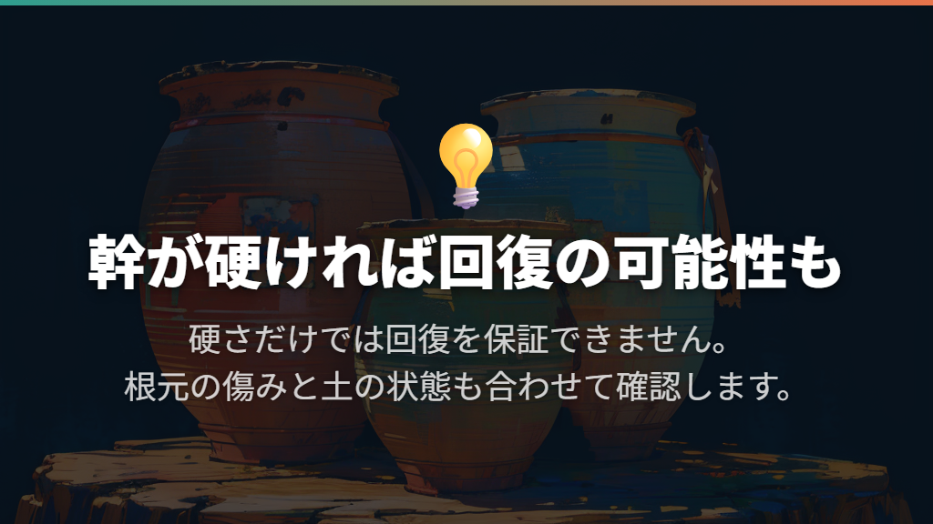 幹が硬く残っていれば、回復の可能性がある