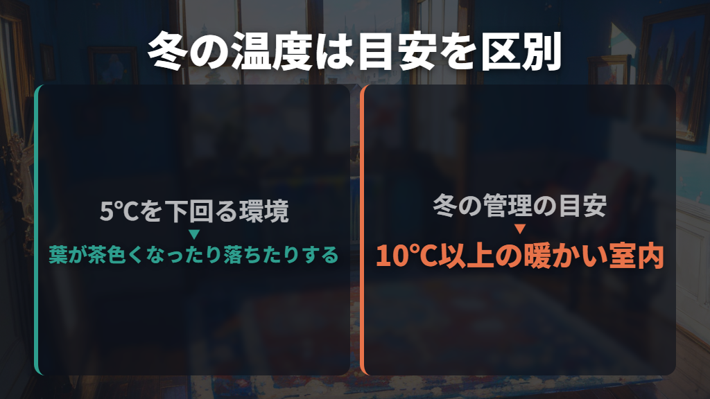 冬に葉がなくなったら、寒さと室内の温度差を見る