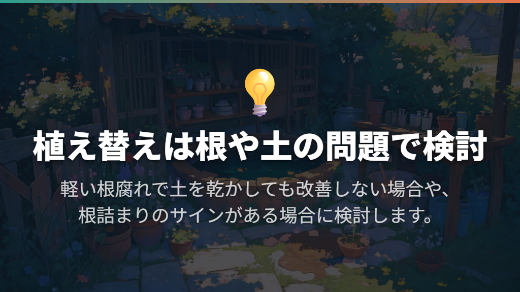 植え替えは根の傷みや根詰まりがあるときに検討する
