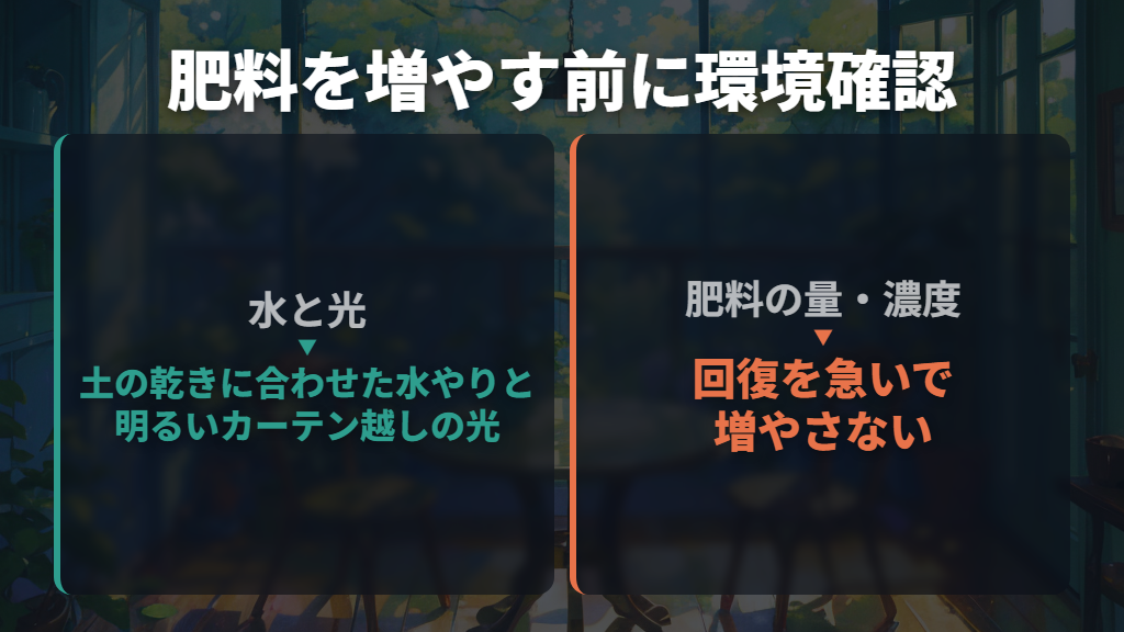 肥料で急がせず、環境を整えて新芽を待つ