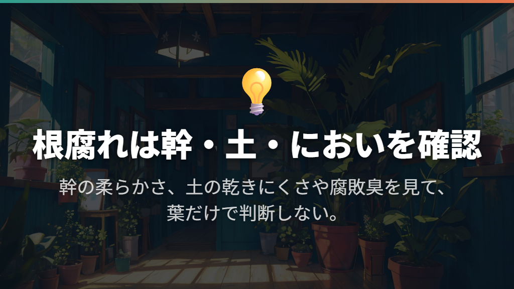 根腐れを疑い、幹・土・においを一緒に見る