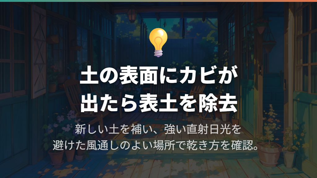 まずはカビのある表土を取り除き、乾きやすい場所へ