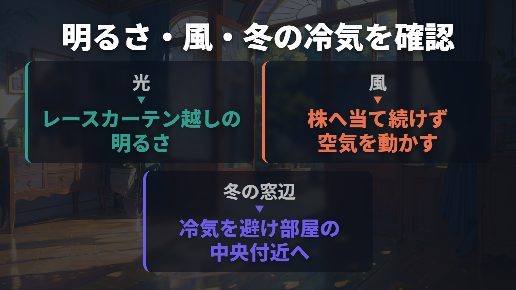 置き場所は明るく風通しよく、直射日光と冷気に注意