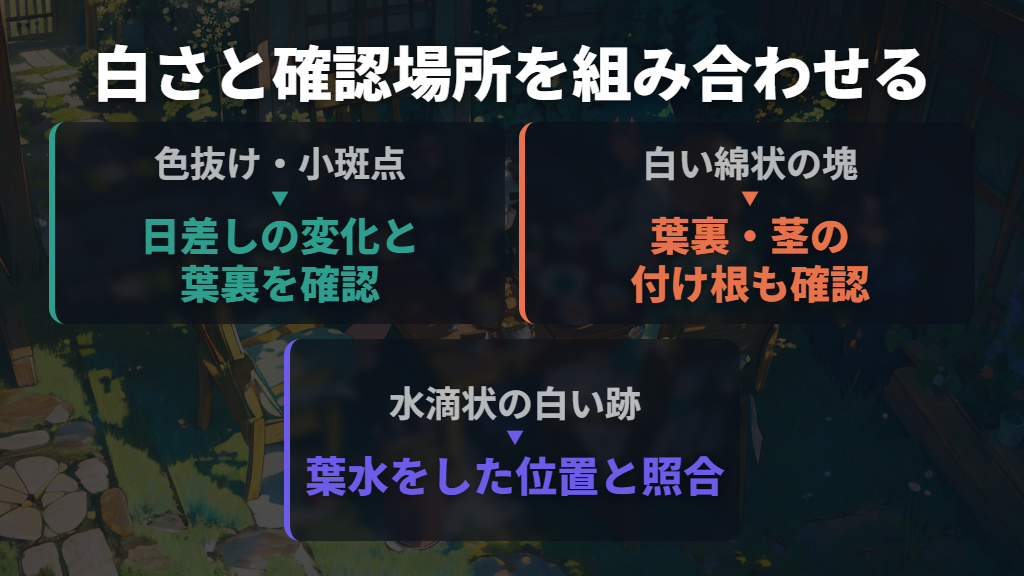 白さの形と葉裏を見て原因を絞る