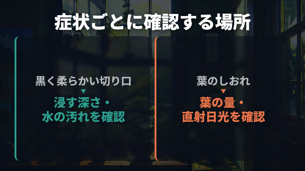 根が出ない・切り口が黒い・葉がしおれるときの対処