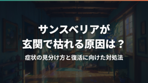 サンスベリアが玄関で枯れる原因は？症状の見分け方と復活に向けた対処法