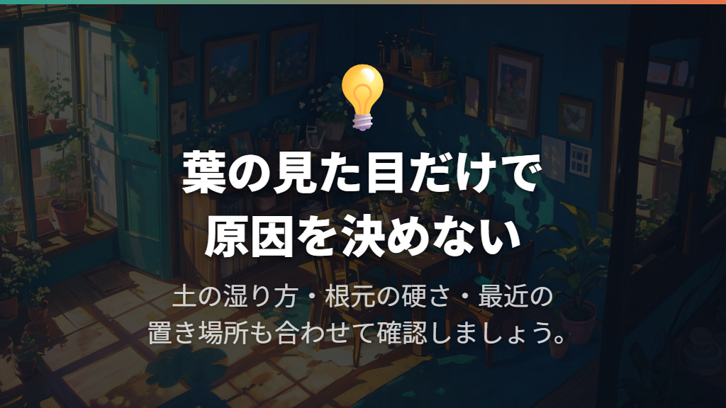 葉のしわ・黄変・ぶよぶよは何のサイン？