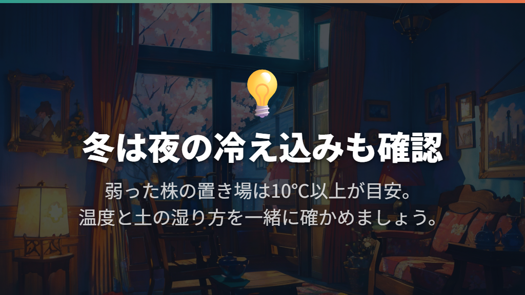 冬は室内の玄関でも低温を見落とさない