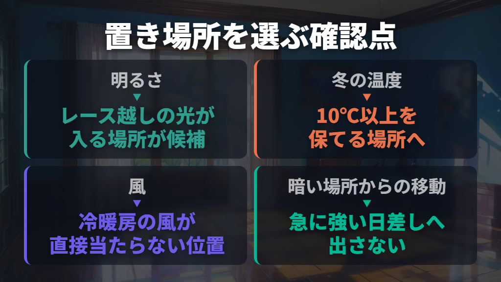 置き場所は明るさ・冬の温度・風で選ぶ
