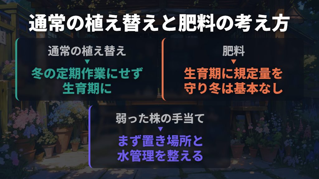 通常の植え替えは生育期に、肥料は与えすぎない