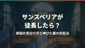 サンスベリアが徒長したら？原因の見分け方と伸びた葉の対処法
