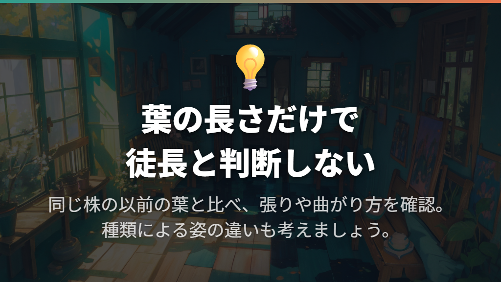 葉が長いだけでは徒長とは限らない