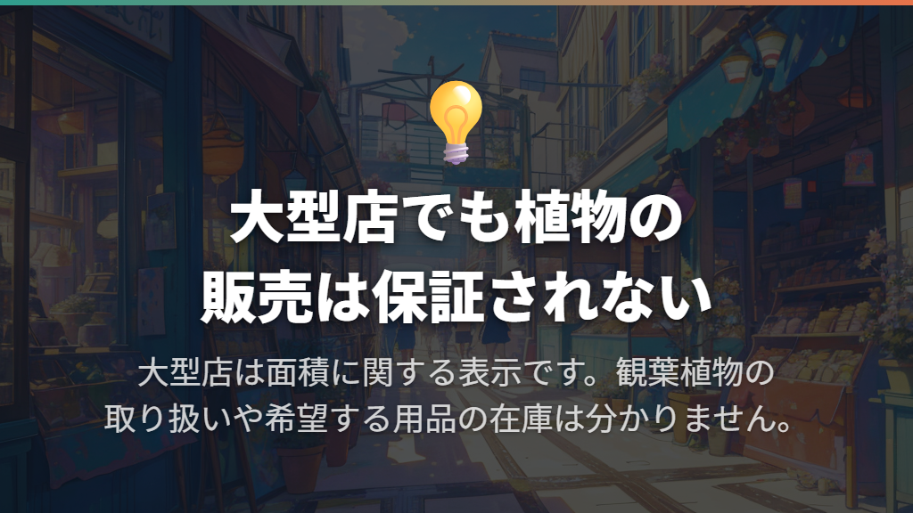 大型店の表示は観葉植物の取り扱いを保証しない