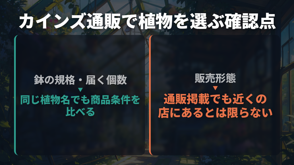 本物の植物が目的なら観葉植物の販売ページがある購入先へ