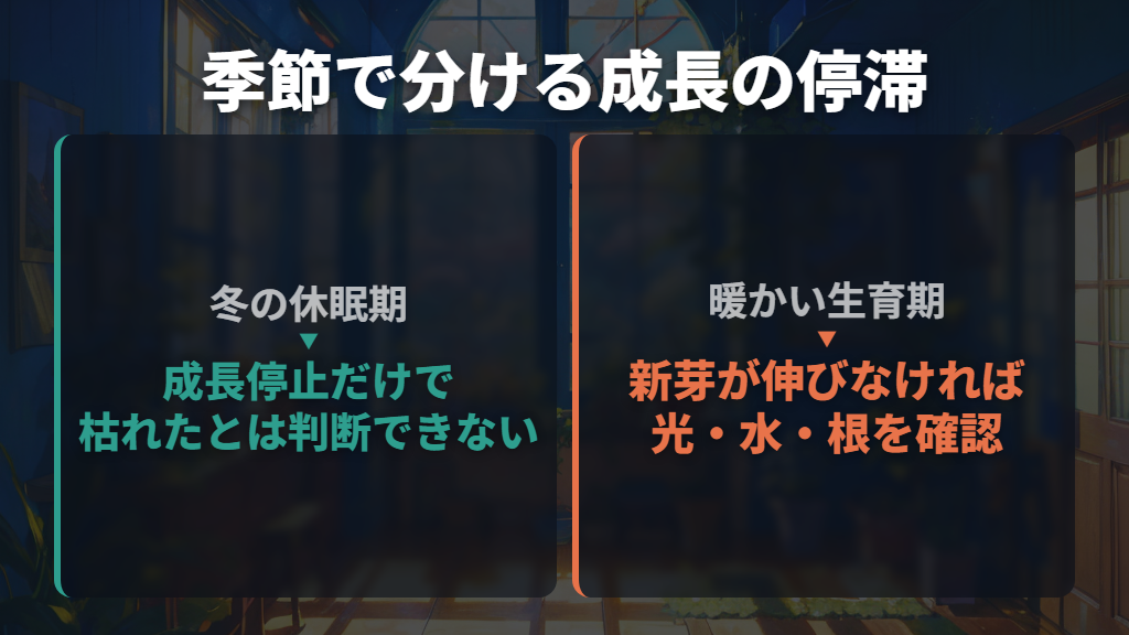 冬の休眠と生育期の不調を分けて考える