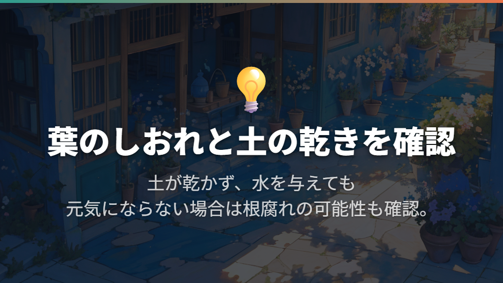 水やりは葉のしおれと土の乾き方を一緒に見る