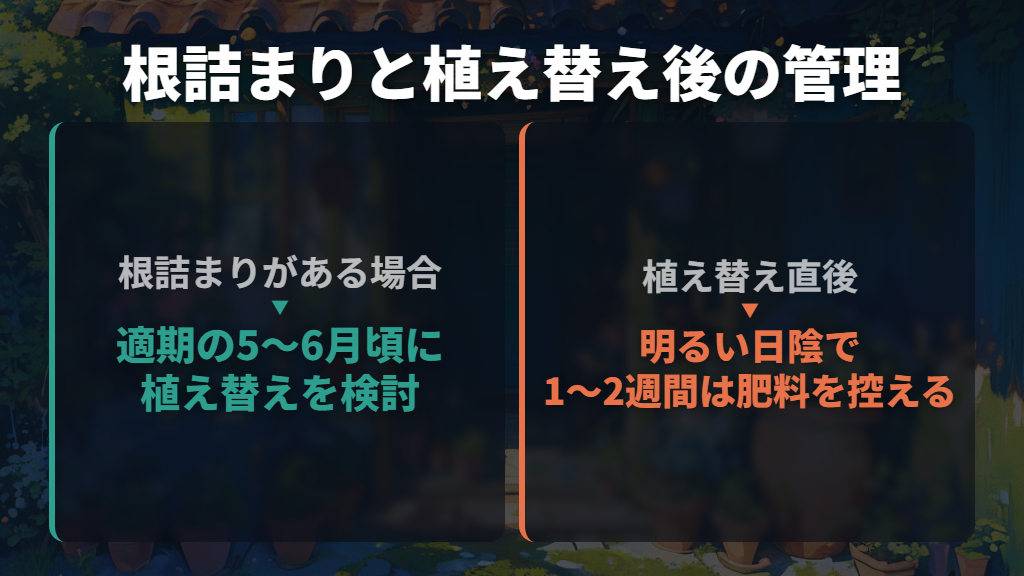 根詰まりなら適期に植え替え、直後は回復を待つ